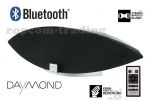 Duży Głośnik DAYMOND D.03.001 Bluetooth USB Pilot