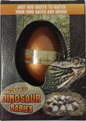 Dinozaur Jajo do Wyklucia Wzrostu MAGIC DINOSAUR EGG